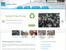Tablet Screenshot of dynaselimpex.com